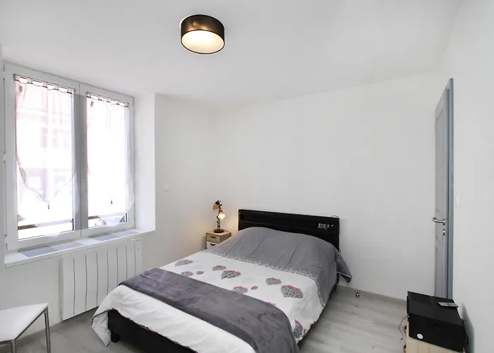 Gite-les-myrtilles 公寓 Corcieux